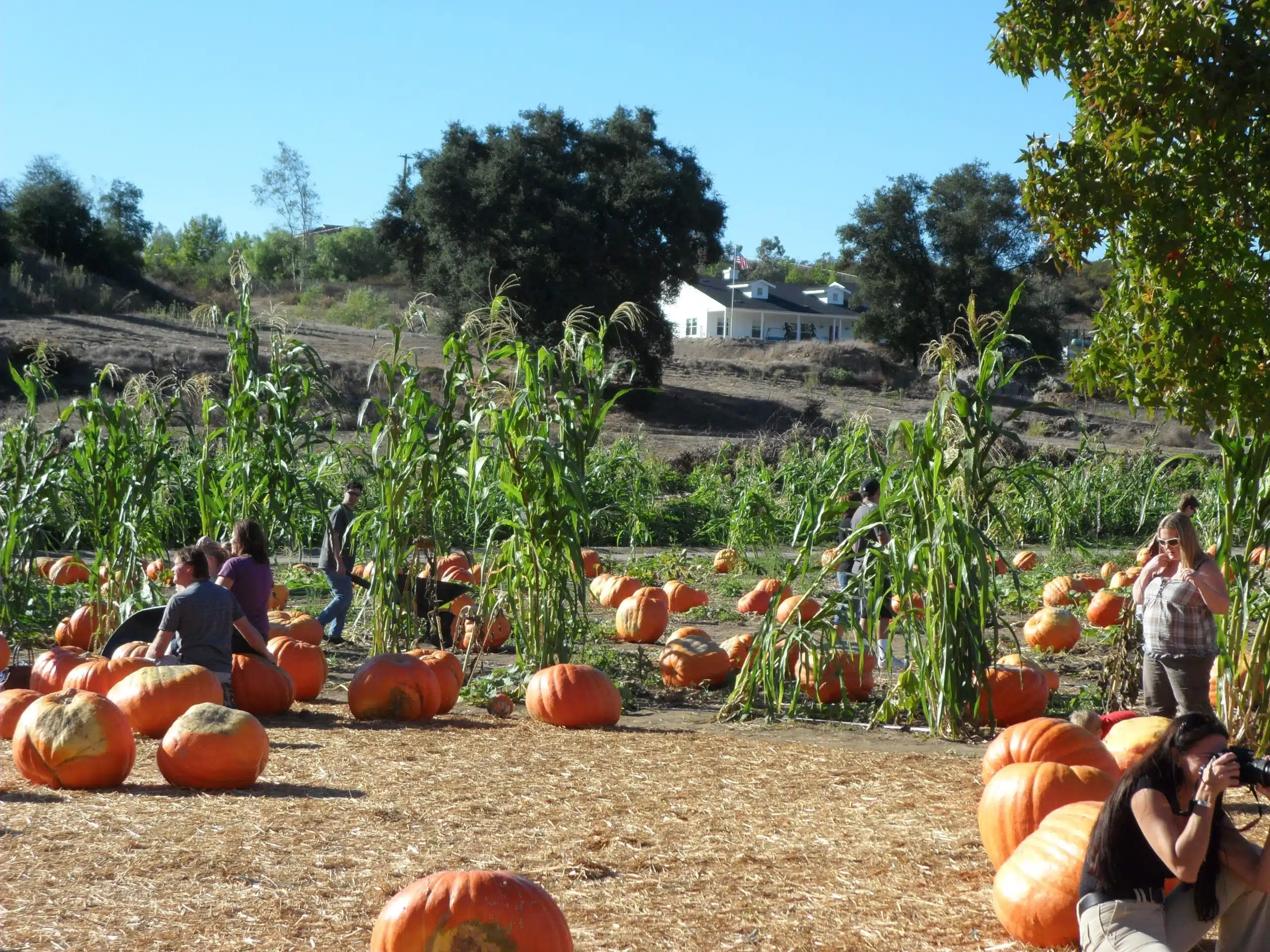 San diego Isaventures travel planner Provences Alpes Cotes d'Azur